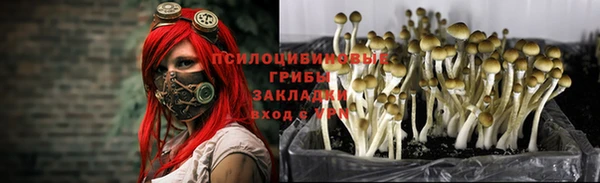 мяу мяу мука Волоколамск