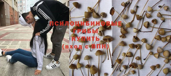СК Володарск