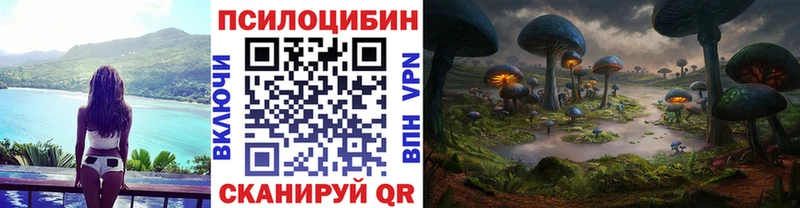 Купить где  Скопин  Галлюциногенные грибы прущие грибы 